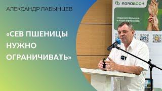 «Сев пшеницы нужно ограничивать» как сохранить рентабельность в сезоне 202425 Александр Лабынцев