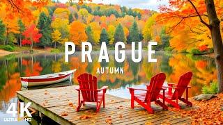 Discover autumn in Prague 4K VIDEO  Discover the romantic autumn of the Czech Republics capital