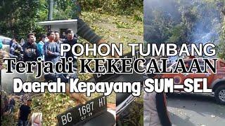 Tejadi kecelakaan pohon TUMBANG di daerah Kepayang