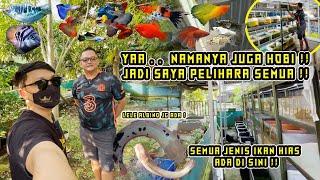 AKU MENEMUKAN FARM IKAN HIAS BESAR & TERSEMBUNYI  IKANYA BANYAK BANGET & JARANG DI JUAL 