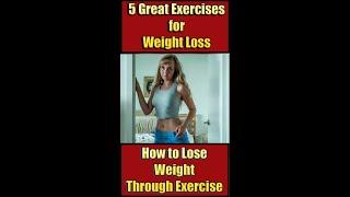 5 Great Exercises for Weight Loss #fitness #shorts