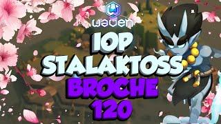 BROCHE CRAQUELEUR 120 EN IOP STALAKTOSS SUR WAVEN 