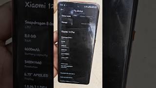 Xiaomi 12 Pro HyperOS Update 1.0.4.0 in India - Dont Update Green Line Issue & No Sound Improvement