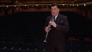 What does a clarinet sound like? Ode to Joy