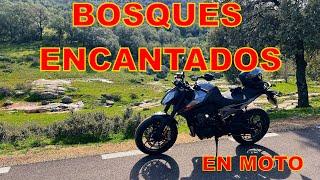 ESCAPADA EN MOTO. MONTES DE TOLEDO AL PIE DE CABAÑEROS