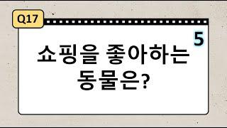 수수께끼 -3탄- 재치 재미 가득 창의력 사고력도 키워주는 수수께끼 같이 풀어봐요. 20문제