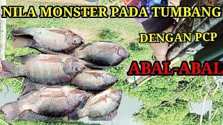 paser mania‼️nembak ikan nila monster  @Cah Konslet 2