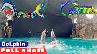 PERTUNJUKAN LUMBA LUMBA HD Di ANCOL ‼️terbaru 2024‼️Dolphin Full Show at Ancol Jakarta