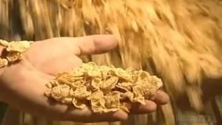 How Its Made - Cereals