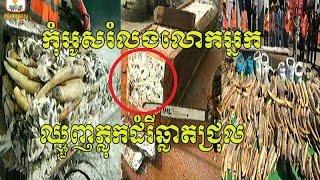 Hang Meas HDTV News - Cambodia News - khmer hot news today - morning news 22 Dec 2016