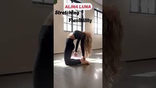 Morning Yoga Flexible Stretching Splits #short