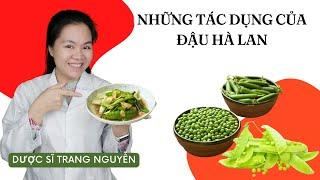 Đậu Hà Lan giúp tăng cường lợi khuẩn đường ruột và cải thiện chức năng hoạt động của nhu động ruột