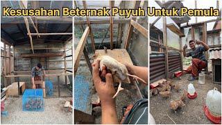 Kesusahan beternak puyuh untuk pemula