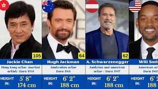 Height of Famous Hollywood Actors in 2024 Tallest and Shortest Actors