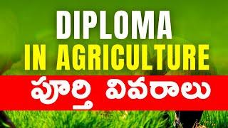 Diploma in Agriculture  Agriculture Diploma  Diploma in Agriculture Course Careers & Opportunities