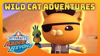 Octonauts Above & Beyond -  International Cat Day Celebration   Compilation  @Octonauts​