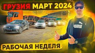 Грузия. Рабочая неделя. Получаем автовоз с новыми АВТО. Март2024.