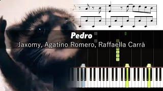 Raffaella Carrà - Pedro Remix - Piano Tutorial with Sheet Music