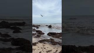 Sea Air Feels So Invigorating So Good After Storm - Glenelg Adelaide #australia #beach #shorts