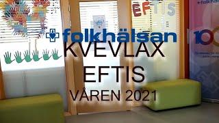 Kvevlax Eftis