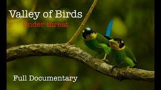 Valley of Birds Under Threat Full Movie - Nature Documentary