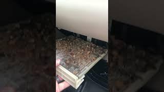 What’s a cabin air filter?