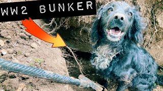 Digging out a WW2 Bunker with my Dog