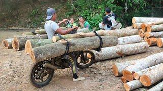 The cheapest technique in Indonesia for transporting lots of wood using a homemade motorbike