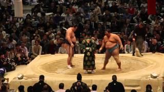 Torneo de Sumo en Osaka 2016 - Combate Matayuki