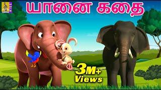 யானை கதை  Kids Animation Tamil  Kids Cartoon  Elephant story  Yanai Katai