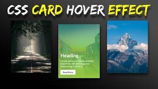 CSS Card Hover Effects  Html CSS