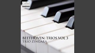 Piano Trio in C minor Op.1 No. 3 I. Allegro con brio