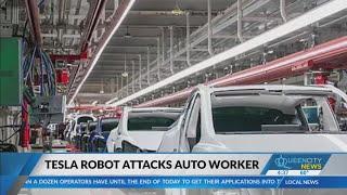 Robot attacked Tesla engineer at Texas factory Report