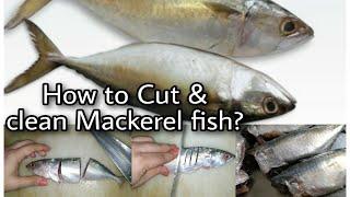 How to cut and clean Mackerel fish  Easy way of Cleaning MackerelBangda