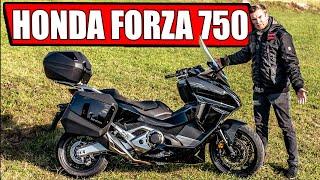 HONDA FORZA 750 2021 DIE GOLDWING DER ROLLER