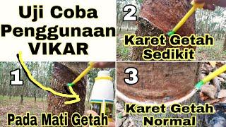 Uji Coba Penggunaan Vikar Pd Karet REM Pecah  Aplikasi Pd Mati Kulit Getah Sedikit & Karet Normal