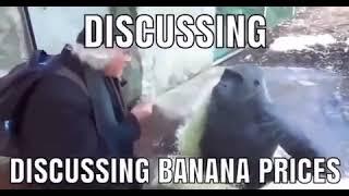 Discussing Banana Prices