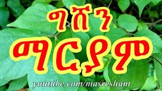 ግሸን ደብረ ከርቤ - Gishen Debre Kerbe Mariam