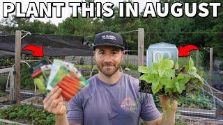 33 AWESOME VEGGIES You Should Plant In August RIGHT NOW