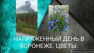 НАПРЯЖЕННЫЙ ДЕНЬ В ВОРОНЕЖЕ. НОВАЯ ДОСКА. ЦВЕТНИК ПРЕОБРАЖАЕТСЯ.