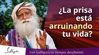 ¿La prisa y la competencia están arruinando tu vida?  Sadhguru