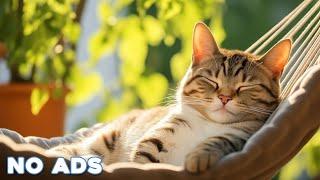 12 Hours Of Music For Cat to Fall Into Deep SleepStress Relief Heal Stress For Cat Soothing Piano