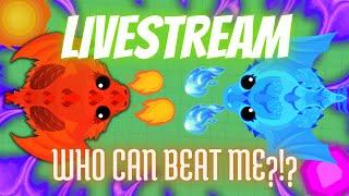 Mope.io PractisingChilling 1v1 - Live Stream  → First Livestream after 3 Months