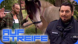 Pony gestohlen & ausgesetzt Hat sich der Tierquäler an der Besitzerin gerächt? Auf Streife  SAT.1