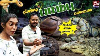 சோம்பேறி பசங்களா எந்திரிங்கடா Guindy பாம்பு பண்ணை  Guindy National Park  Chennai Snake Park 