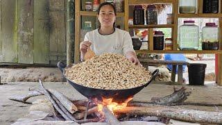 Harvesting & Processing Peanuts Goes to market sell - Pregnant womans life on the farm  Lý Thị ca