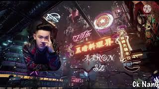 Nonstop  ARS Remix  Chinese Song VIP 2022 No.36 By「Ck Nang 」