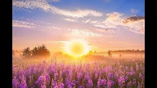 GOOD MORNING MUSIC  528Hz Positive Energy  Soothing Beautiful Deep Morning Boost Meditation Music
