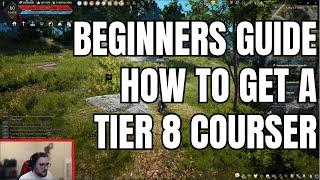 Black Desert How to get a tier 8 courser horse. 2024 Guide