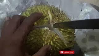 Tutorial Cara Cepat Aman Belah Buah Durian